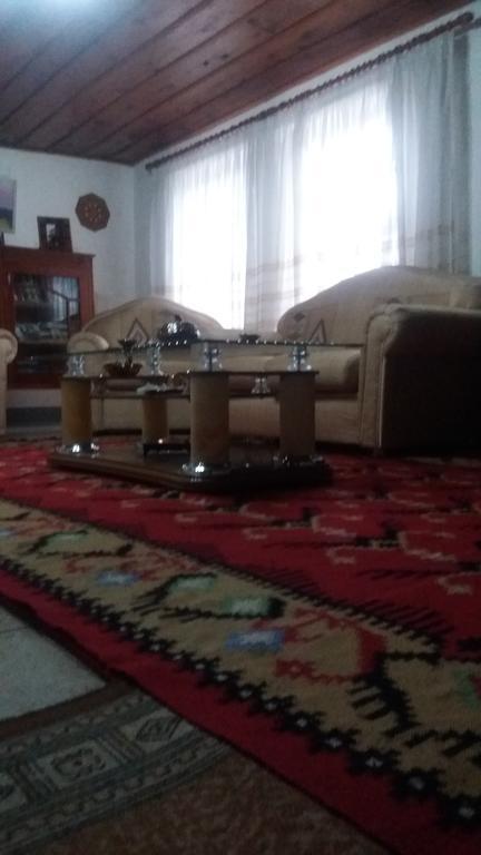 Eva Guesthouse Gjirokaster Luaran gambar